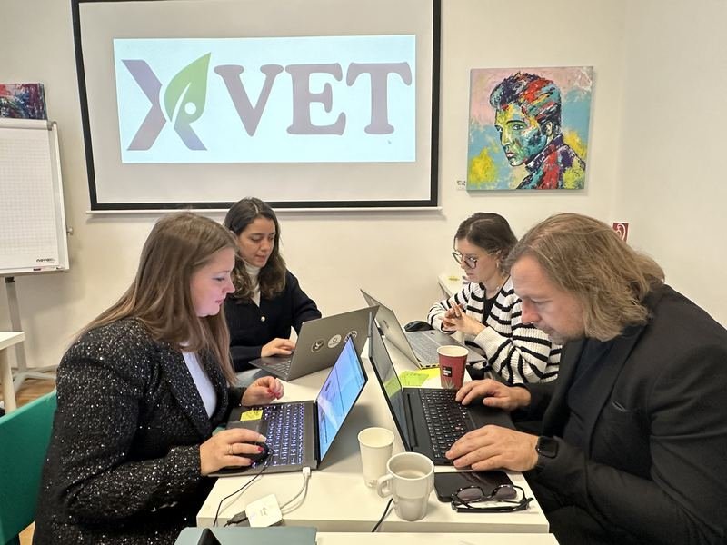 The X-VET logo on the screen during a working session